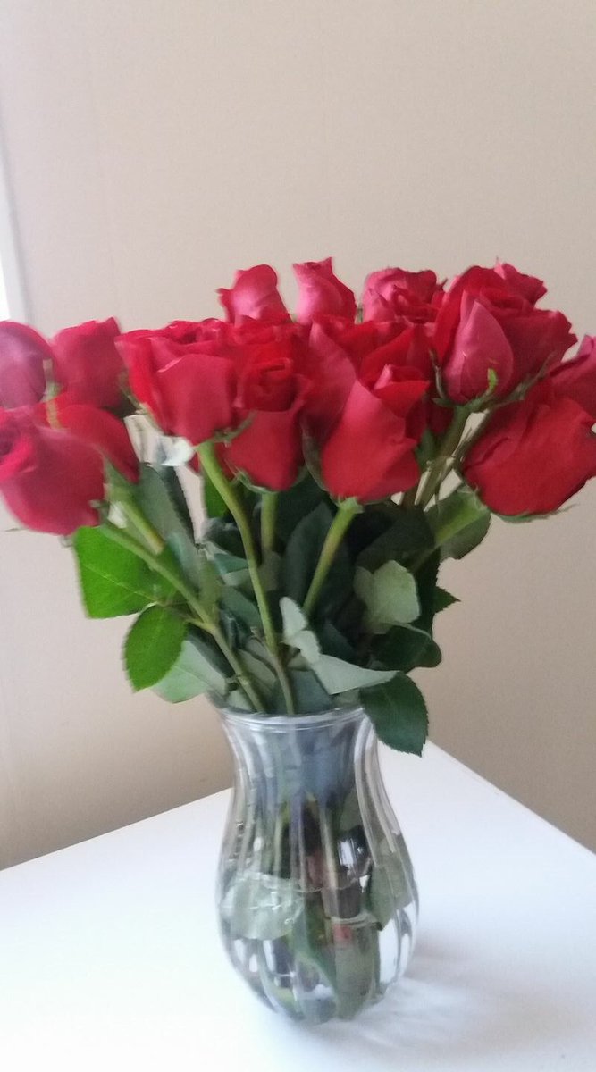 ThePushProject1's tweet image. Make each petal signify how many times you will say something encouraging each day #develophabits #valintinesday #love #pushprojectjax