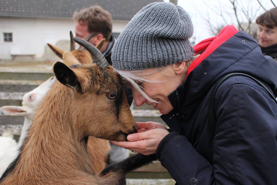 afcroatia's tweet photo. #PHOTOS from our visit to the Slovenian KOKI SANCTUARY🐰🐷🐐🐓 https://t.co/OSO7gvqYaw #farmedanimals #sanctuary #farrm #vegan #crueltyfree https://t.co/xc8gy3S5RA