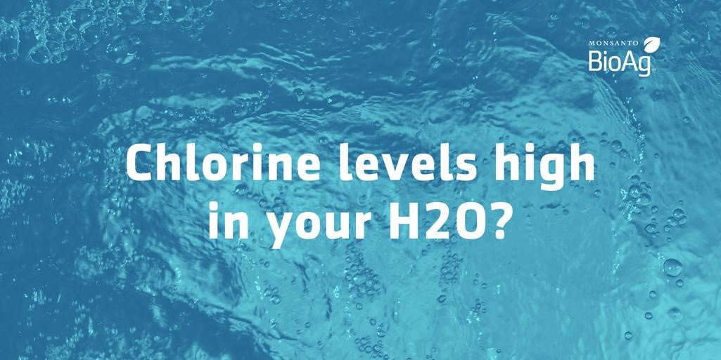 Bayer4CropsEU's tweet photo. #FarmingTip Using chlorinated #H2O during the seed treating process can have a negative effect on the #agmicrobials: https://t.co/HfD3B5jnQk https://t.co/4Xh1CiOg2f