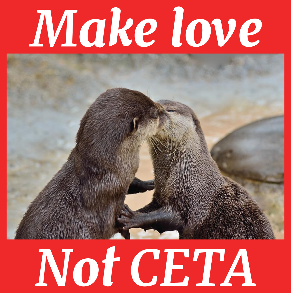 StopTAFTA's tweet photo. C'est la Saint Valentin : faites l'amour pas le CETA !
#StopCETA https://t.co/tuf1mkduax