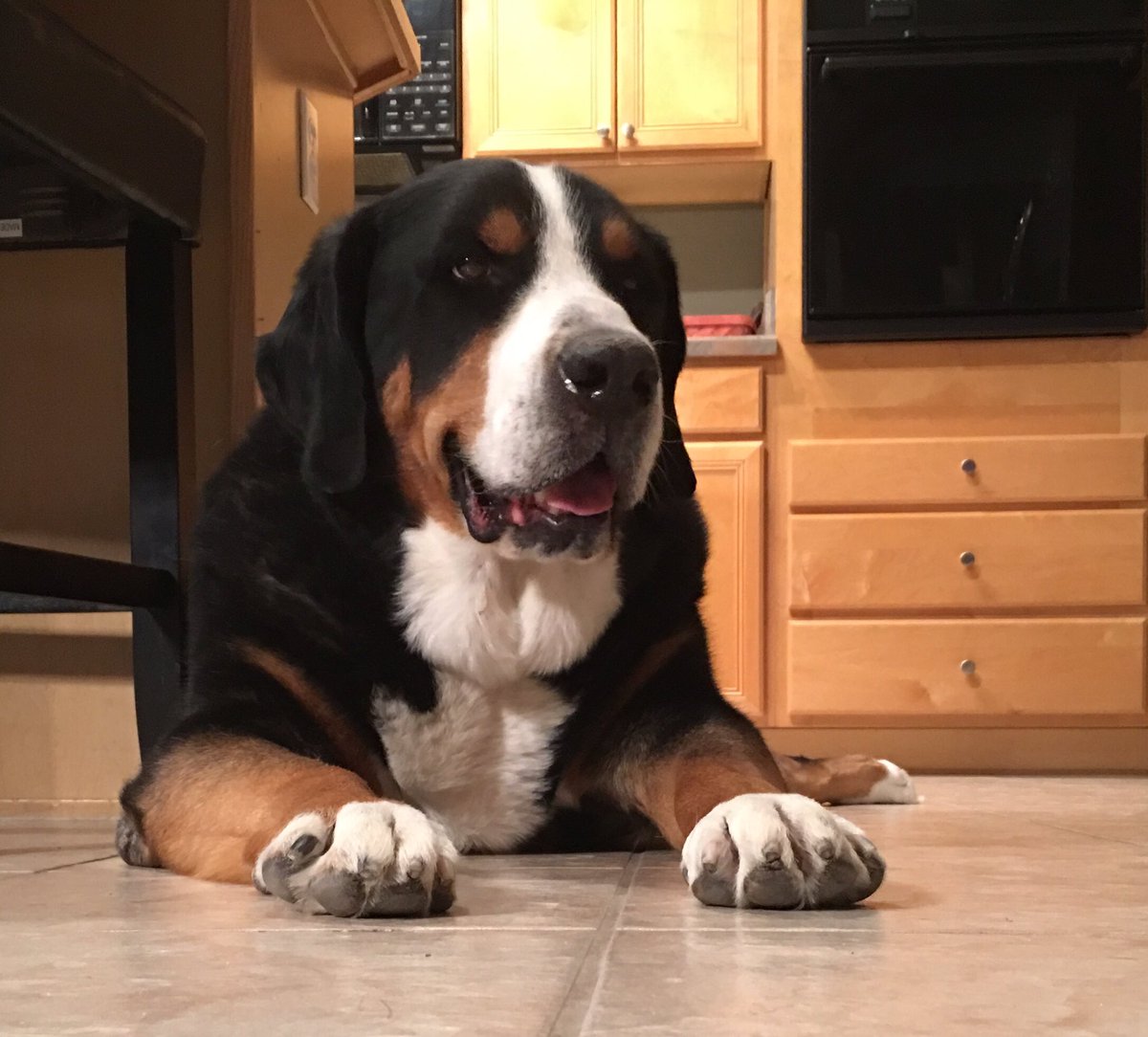 Love the cold tile floor!