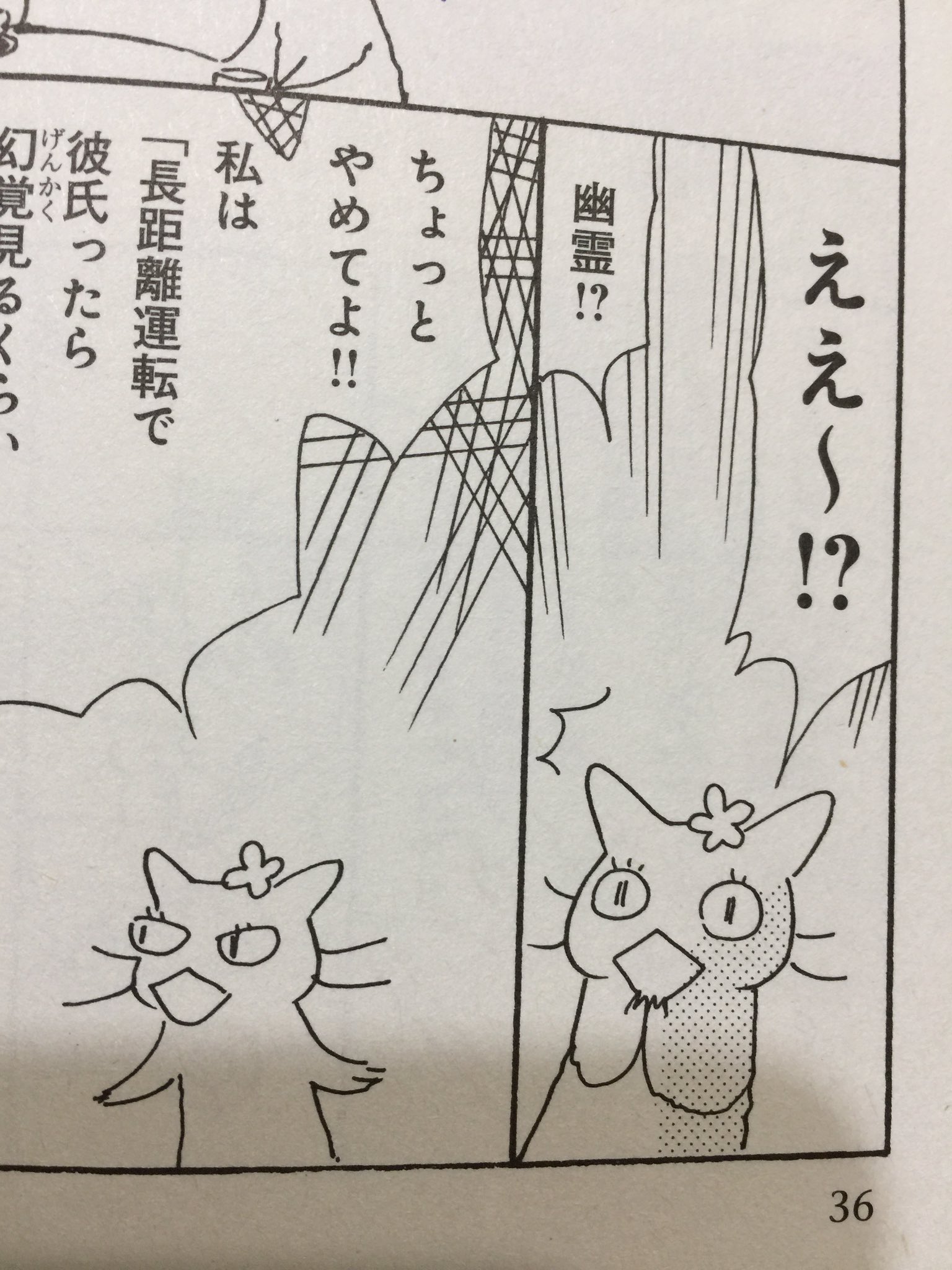 Tono八月２０日 アデライトの花 四巻発売 猫で語る怪異 自分ではこの猫が気にいってます 女らしいちゃっかりした猫です T Co X7zuyvkoue Twitter