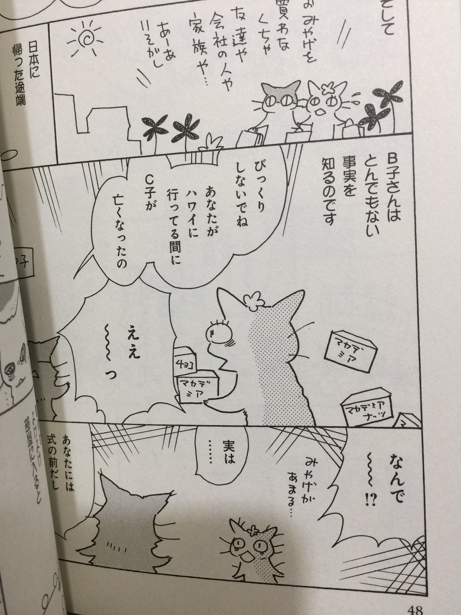 Tono八月２０日 アデライトの花 四巻発売 猫で語る怪異 自分ではこの猫が気にいってます 女らしいちゃっかりした猫です T Co X7zuyvkoue Twitter
