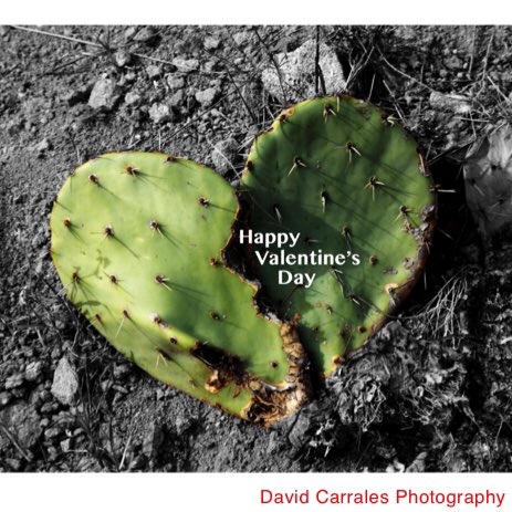 DCarrales's tweet photo. Happy Valentine's Day! Image shot at Big Bend National Park. #happyvalentinesday #bigbendnationalpark https://t.co/Zxwev7xriv