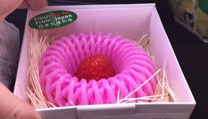 NVCInfo's tweet photo. Geen #voedsel #verlies #aarbei #verpakking op foto 👇🏿? Of toch wél...? Doe workshop #engpackaging #design 16 maart 👉🏿https://t.co/MMdWq0fLNR https://t.co/LaTJE9DyfQ