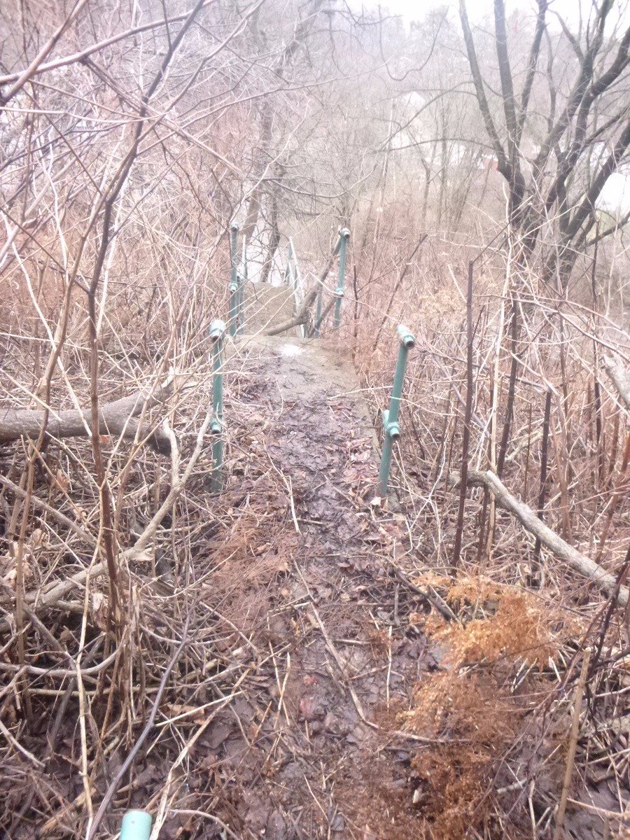 PittsburghTrail's tweet photo. #Homewood public city steps on Ferndale St between Wheeler and Willing St #CitySteps #PublicSteps #PittsbughSteps https://t.co/F8kYldkBxZ