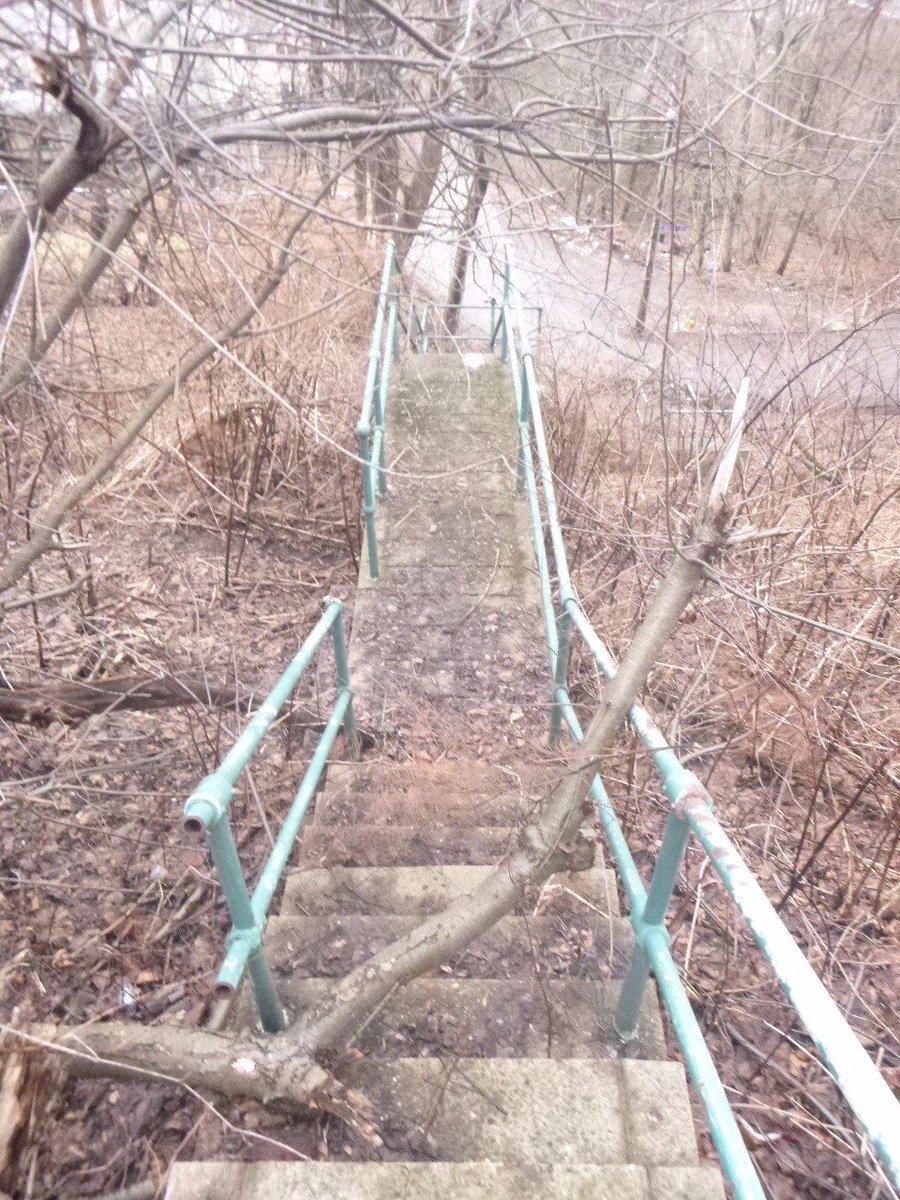 PittsburghTrail's tweet photo. #Homewood public city steps on Ferndale St between Wheeler and Willing St #CitySteps #PublicSteps #PittsbughSteps https://t.co/F8kYldkBxZ