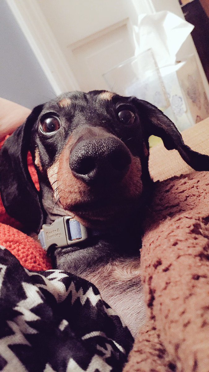 caseywithers1's tweet photo. My valentine knows how to look good on the daily https://t.co/ouChFXhvwU