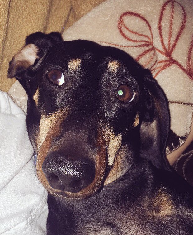 caseywithers1's tweet photo. My valentine knows how to look good on the daily https://t.co/ouChFXhvwU