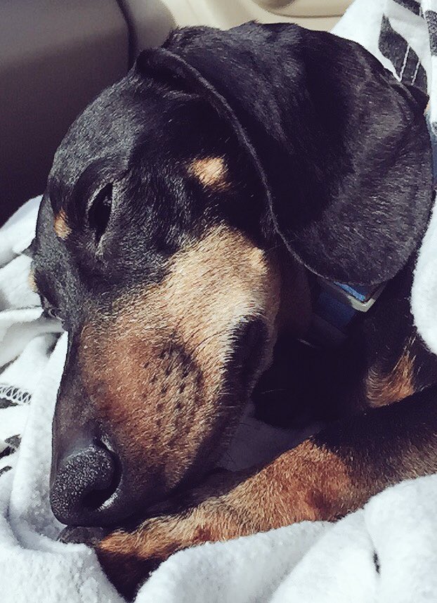 caseywithers1's tweet photo. My valentine knows how to look good on the daily https://t.co/ouChFXhvwU