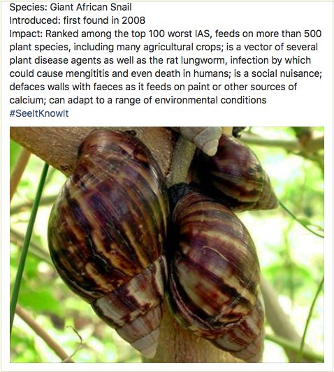 AandBEnviron's tweet photo. #InvasiveAlienSpecie
#SeeItKnowIt https://t.co/gKEZdWygdg