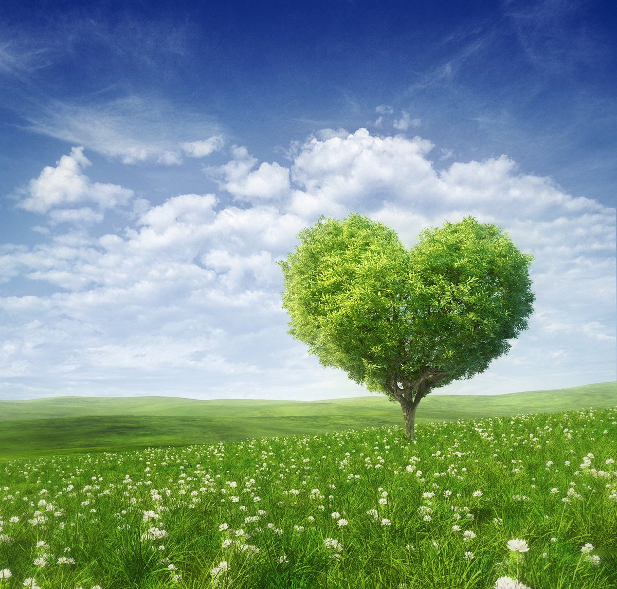 Sow_Canna's tweet photo. Happy Valentines Day! https://t.co/dVpxg8ka6K