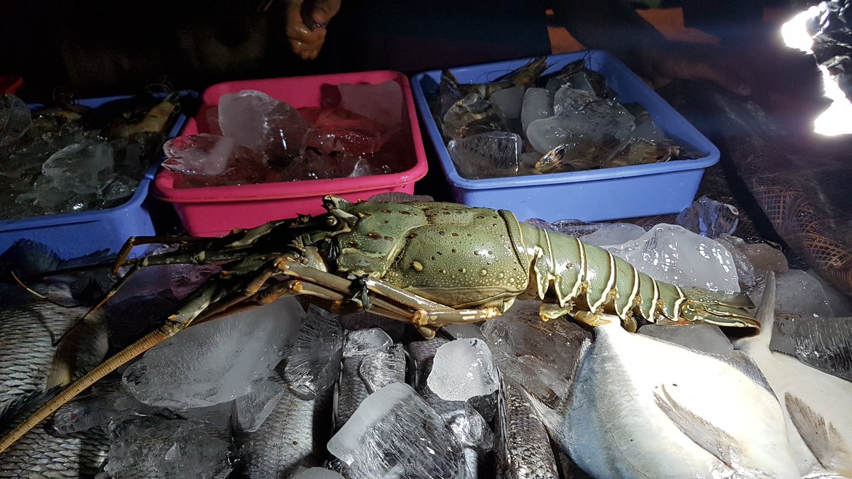 I think it could be a seafood evening...