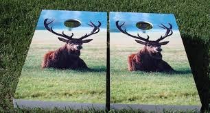Elks817's tweet photo. Cornhole League #elksfun https://t.co/sttvziq1N2