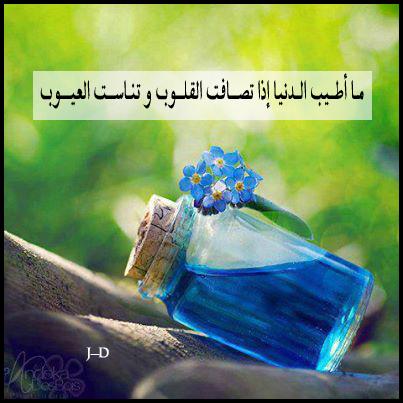 ddrrx7's tweet photo. مساء القلوب الصافية https://t.co/lCgxuaH8q7
