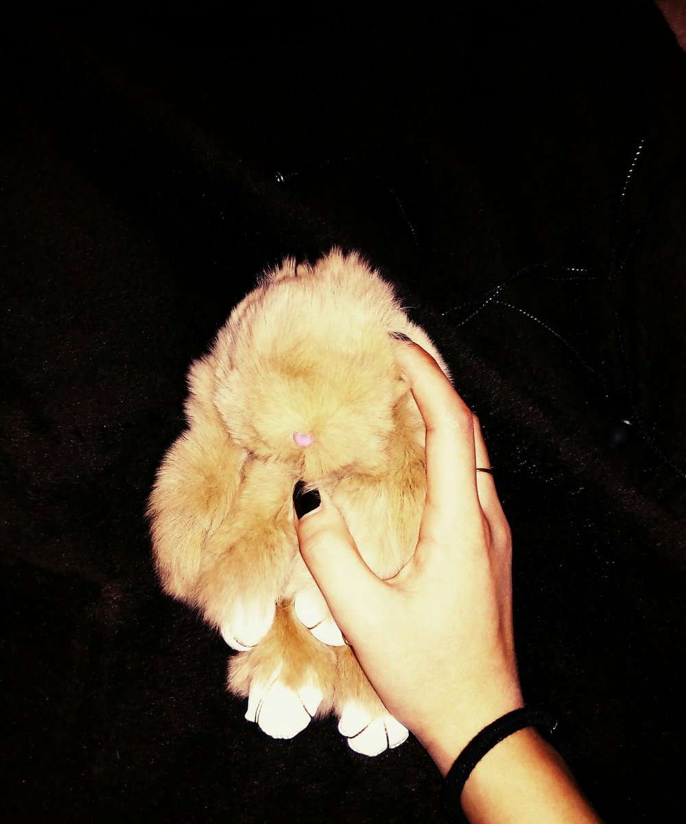 AsphodelGay's tweet photo. So cute~ 

#rabbit #valentines #cute #gifts https://t.co/kXjmRFp2T8