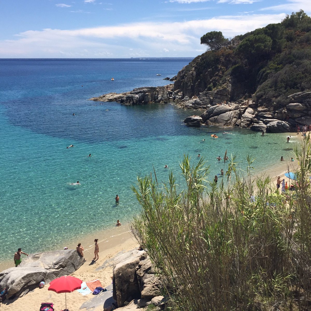 Acqua dell'Elba tweet media