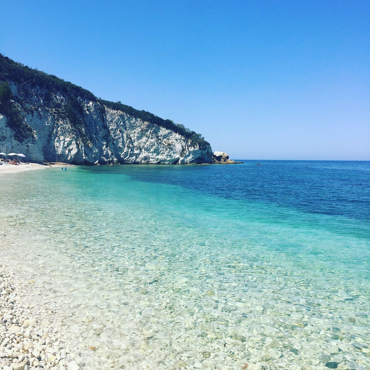 Acqua dell'Elba tweet media