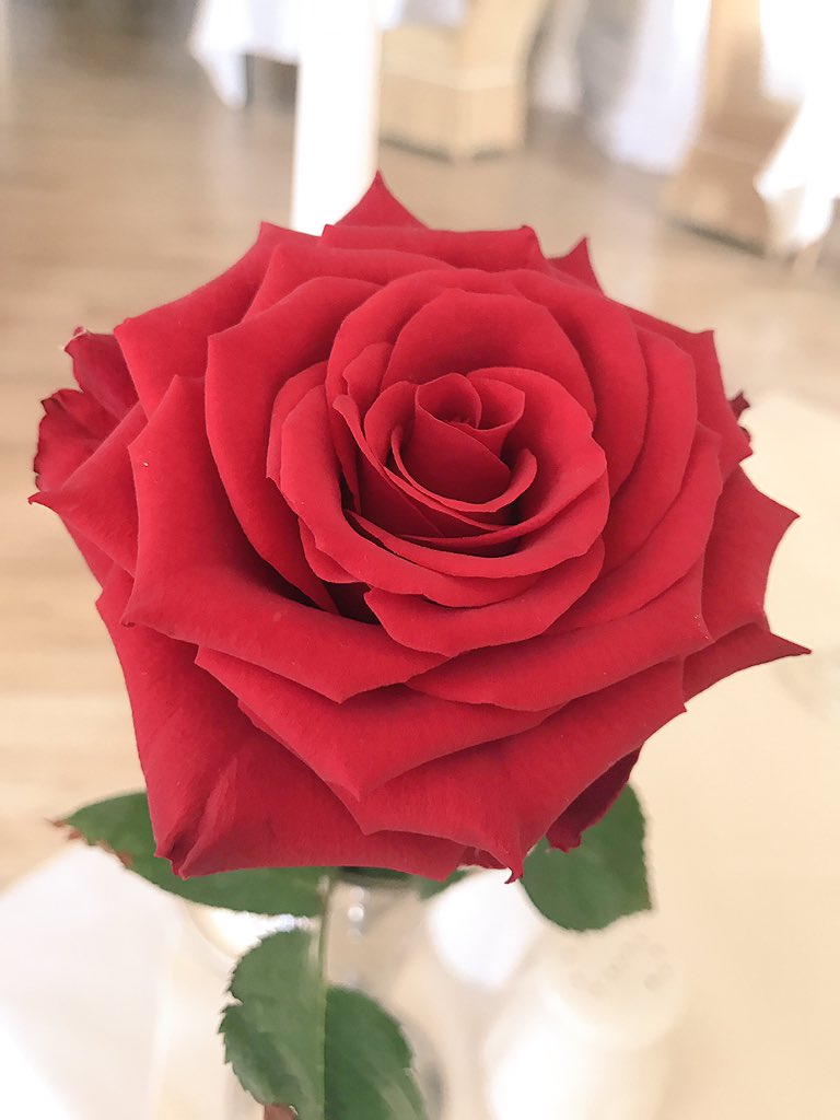 grange_hotel's tweet photo. ❤️Happy #Valentines day from the very romantic staff &amp; management @grange_hotel 😄#NotJustLakes https://t.co/cHyGtKFuBL