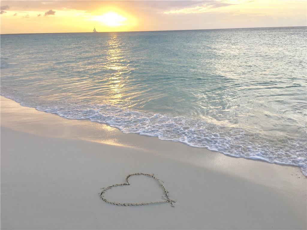 arubamarriott's tweet photo. Love is..clear blue water 
and white sand!❤️ #ArubaMarriott #LoveInParadise https://t.co/ocO31MOcJX