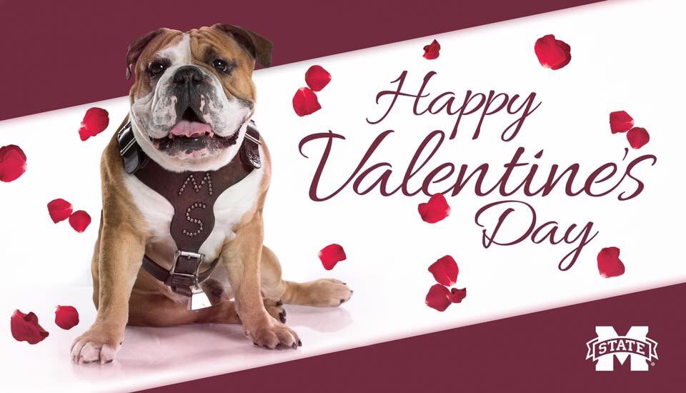 happy valentines day bulldog