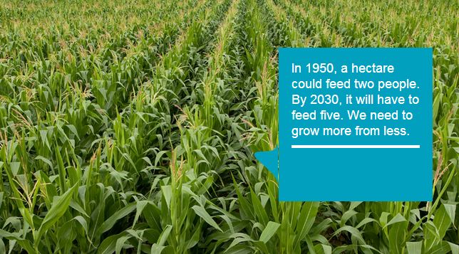 Syngenta tweet media