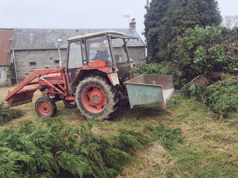 Les travaux sont en plein essor dans le nouveau refuge ! Et ns avons besoin de bénévoles, si vs êtes de l'Orne (61), contactez-nous 🚜 #RT