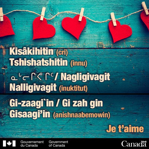 GCAutochtones's tweet photo. 💕 Joyeuse #SaintValentin !

Vous comptez dire "Je t'aime" en quelle langue aujourd'hui? https://t.co/sPjk1V9H1K