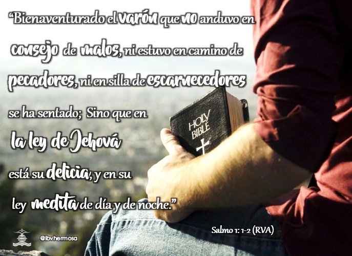IBVHermosa's tweet photo. Cita Bíblica del día.
"Ponete en algo" Por René Araujo.
#multiplicación #compromisoradical #compromisodefinitivo #compromisoreal #ibvhermosa https://t.co/riilrFFMy2