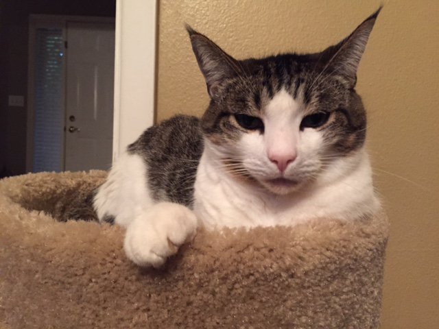 growingupzee's tweet photo. Happy #valentines day to all my followers. https://t.co/4G61Bp86zs