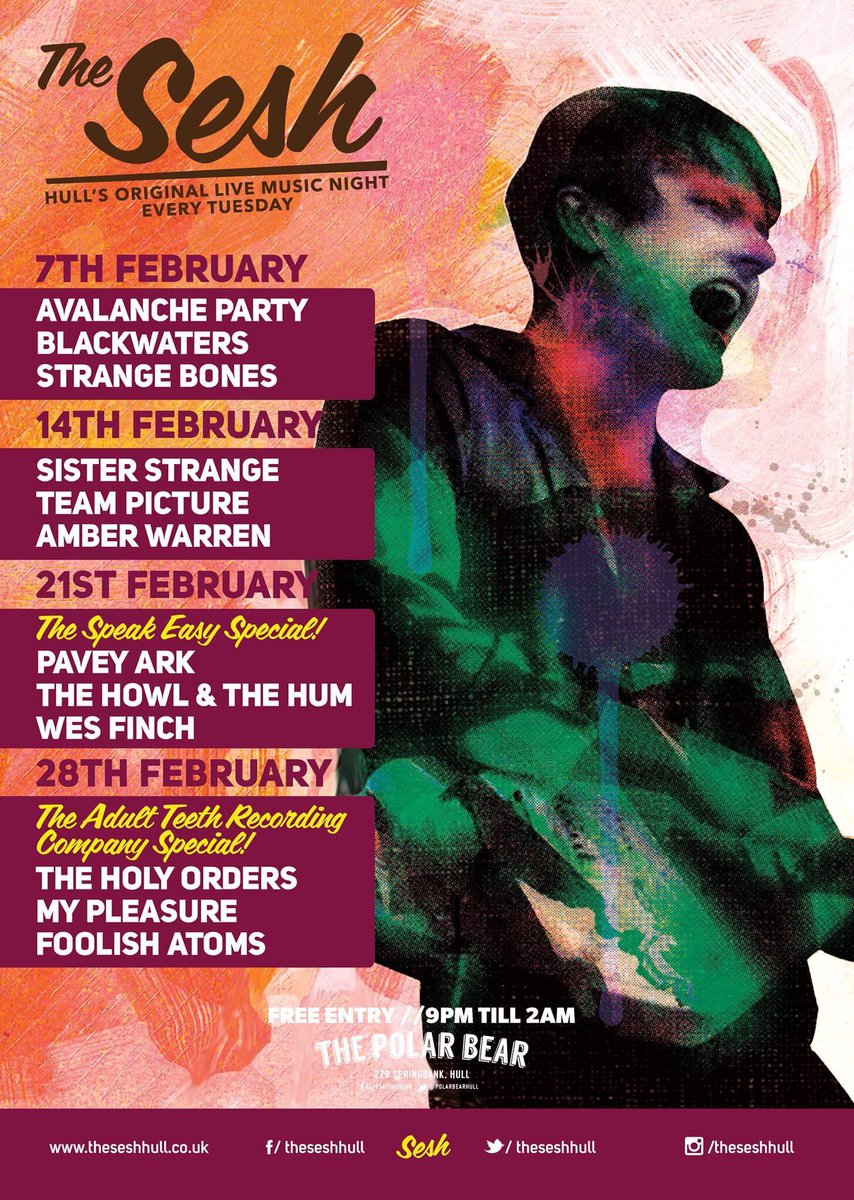 The Polar Bear tweet media