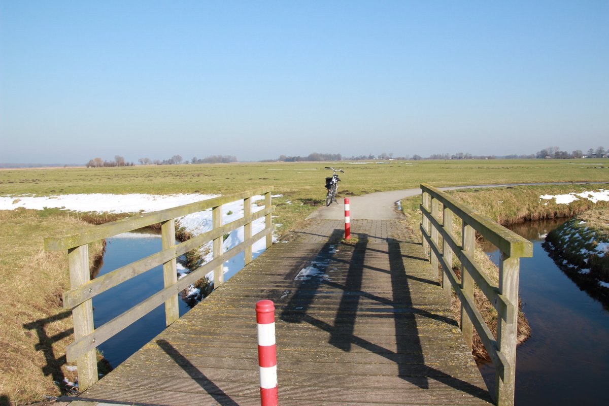 Diane Kleine tweet media