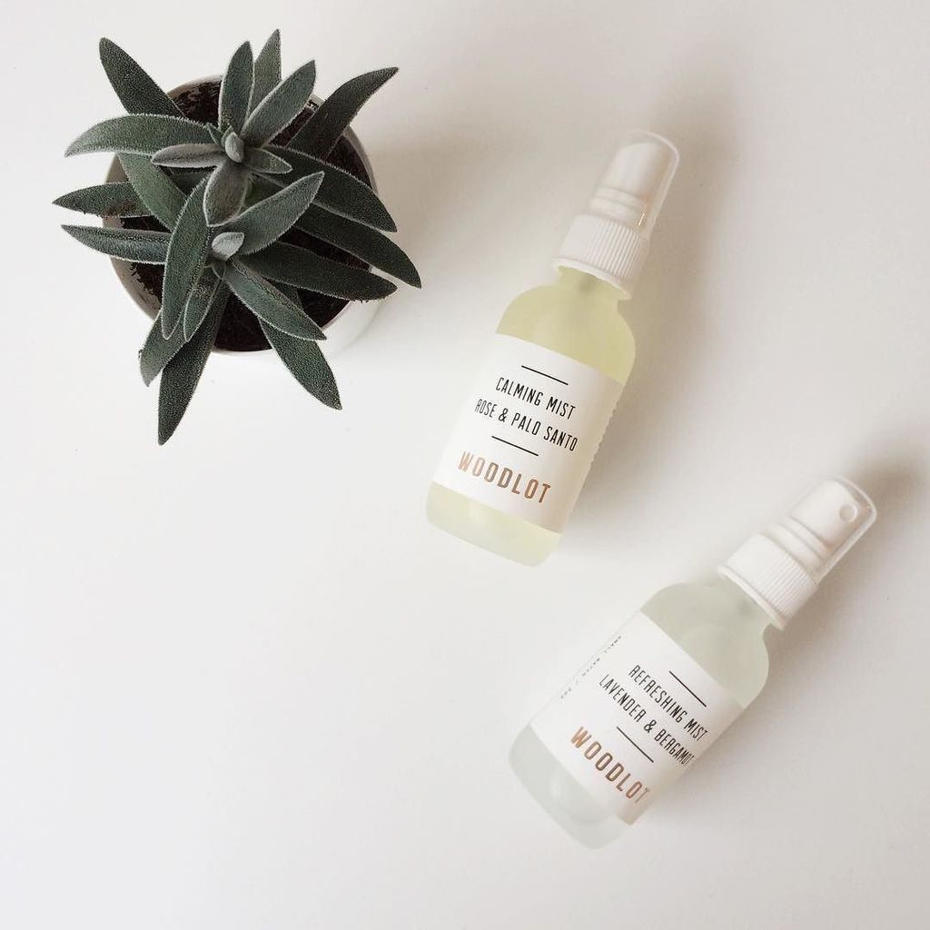keepgoodco_'s tweet image. a few things we love. #🖤#happyvday #calmingmist #refreshingmist #succulent #shopkeepgood ift.tt/2lLQsIV