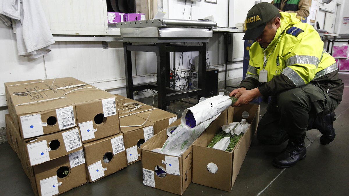 chicagotribune's tweet photo. Cocaine is probably the last thing most people think about when buying roses for Valentine's Day. https://t.co/P9nqTzZOYr https://t.co/p68KGoQXr6