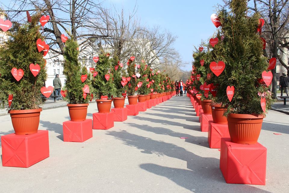 BabicVanja's tweet photo. Ove tujice možete rezervisati i zasaditi,zajedno sa nama, u vašoj i našoj rekreativnoj zoni u subotu 18.2. #alejaljubavi #topicmarket https://t.co/d5JefHi8G5
