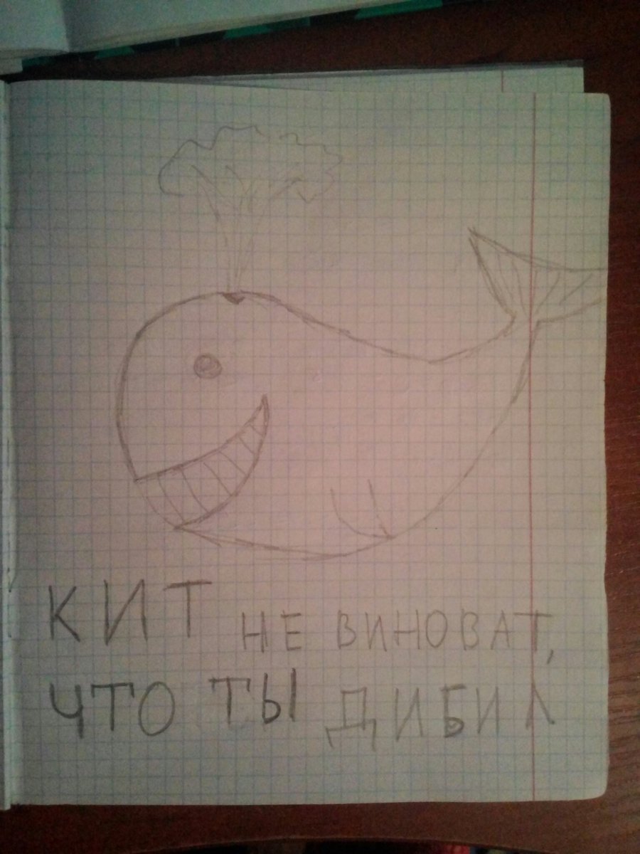 Sherlyshenka's tweet image. #тихийдом
#синийкит