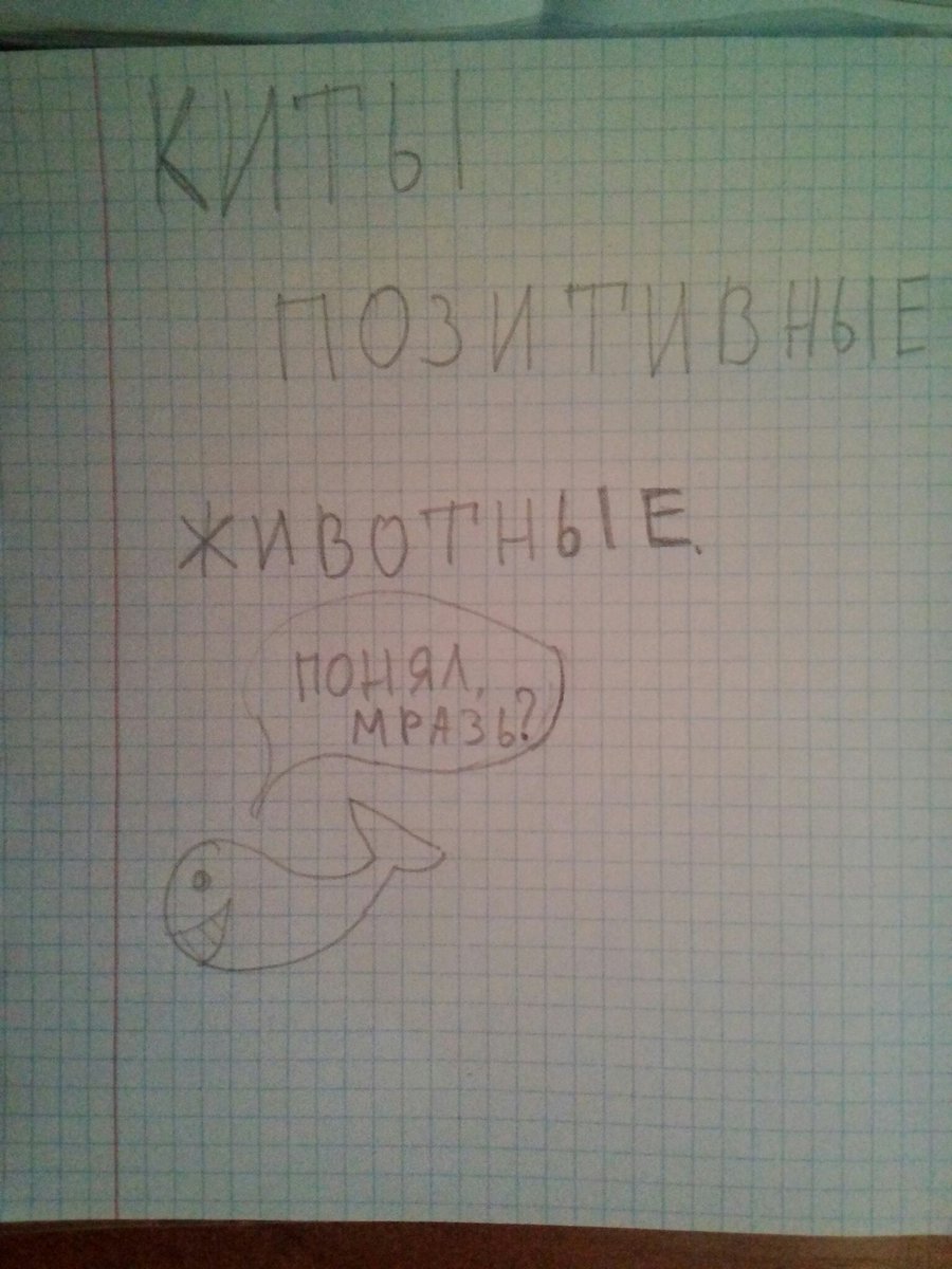 Sherlyshenka's tweet image. #тихийдом
#синийкит