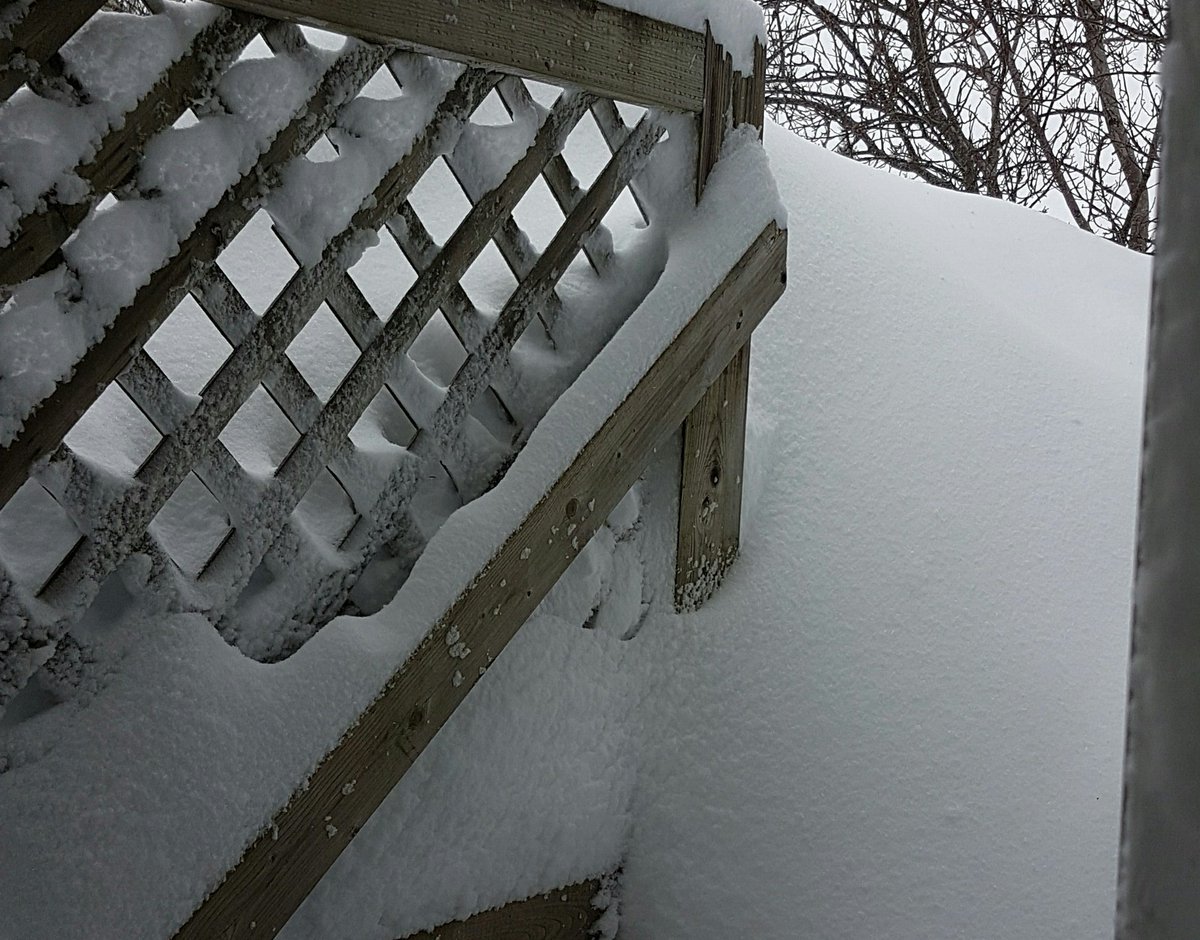 theronster1's tweet photo. This may take a while😠 #blizzardprobs https://t.co/MMM39DwqLm