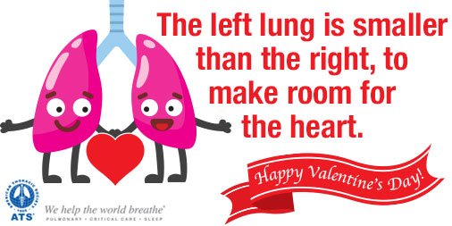Happy #ValentinesDay!