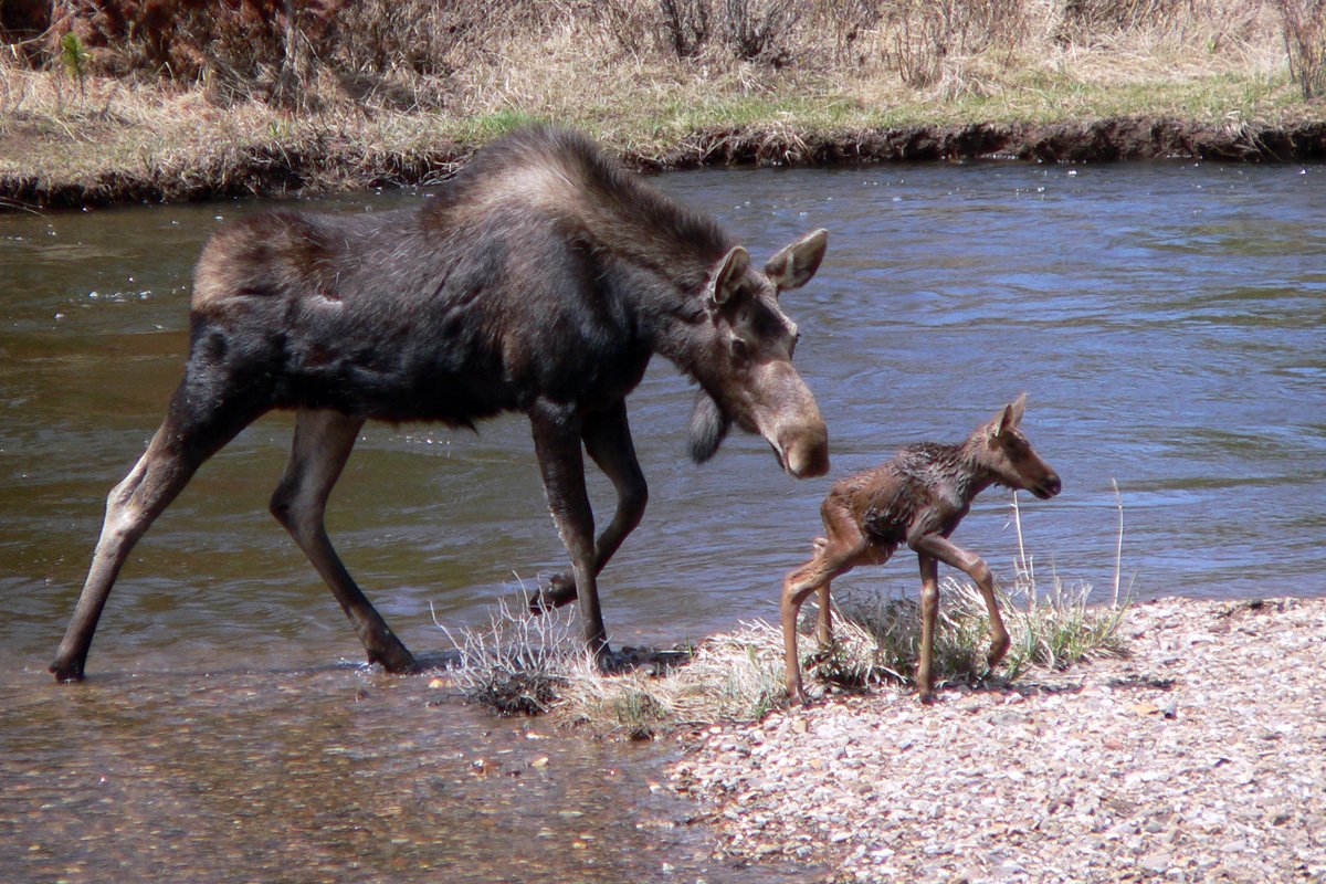Love is active. It gives, shares, listens, forgives, comforts.  – Florence Wedge
#HappyValentinesDay from #RMNP!  ks
