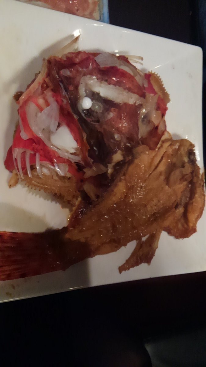 ふあ はち 写真が下手でごめんやで みなさんが昼間似釣ったばかりの新鮮なお魚料理もご相伴に預かりました なにもせずに美味しいところだけもぐもぐ オニカサゴの煮付け お刺身 炙り キモ 鰈の煮付け それから撮る前にいただいてしまった甘鯛の