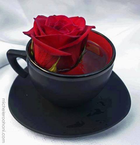 samiajeel7@Gmail.com tweet media