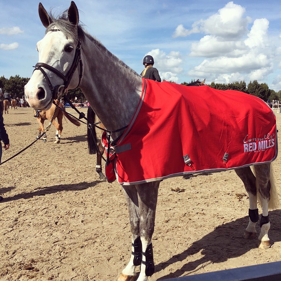 JakeJSaywell's tweet photo. Thank you @RED_MILLSfeed  for sorting all the horses feed out for the next 6 weeks jumping, keeping them looking and feeling in top form ⭐️ https://t.co/phxteS3Gcg