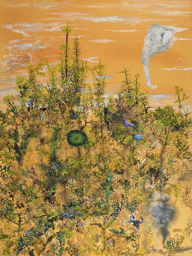 John Lurie (lurie_john) Twitter