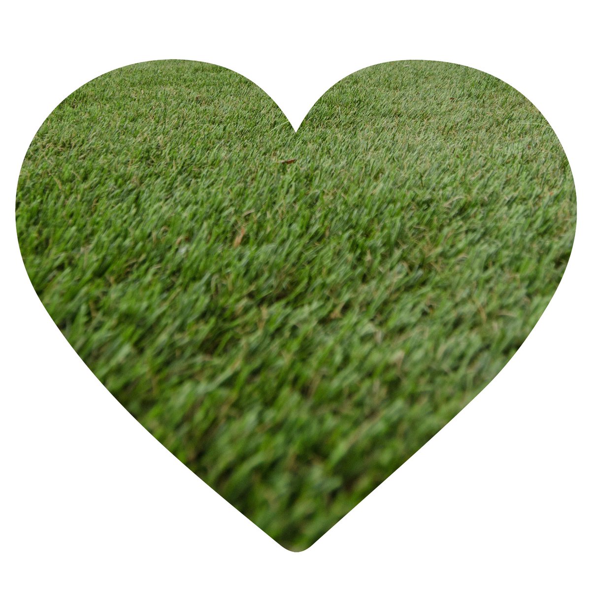 ForeverLawnNEO's tweet image. Happy Valentine's Day! 
We love our #ForeverLawn customers and appreciate all you do!