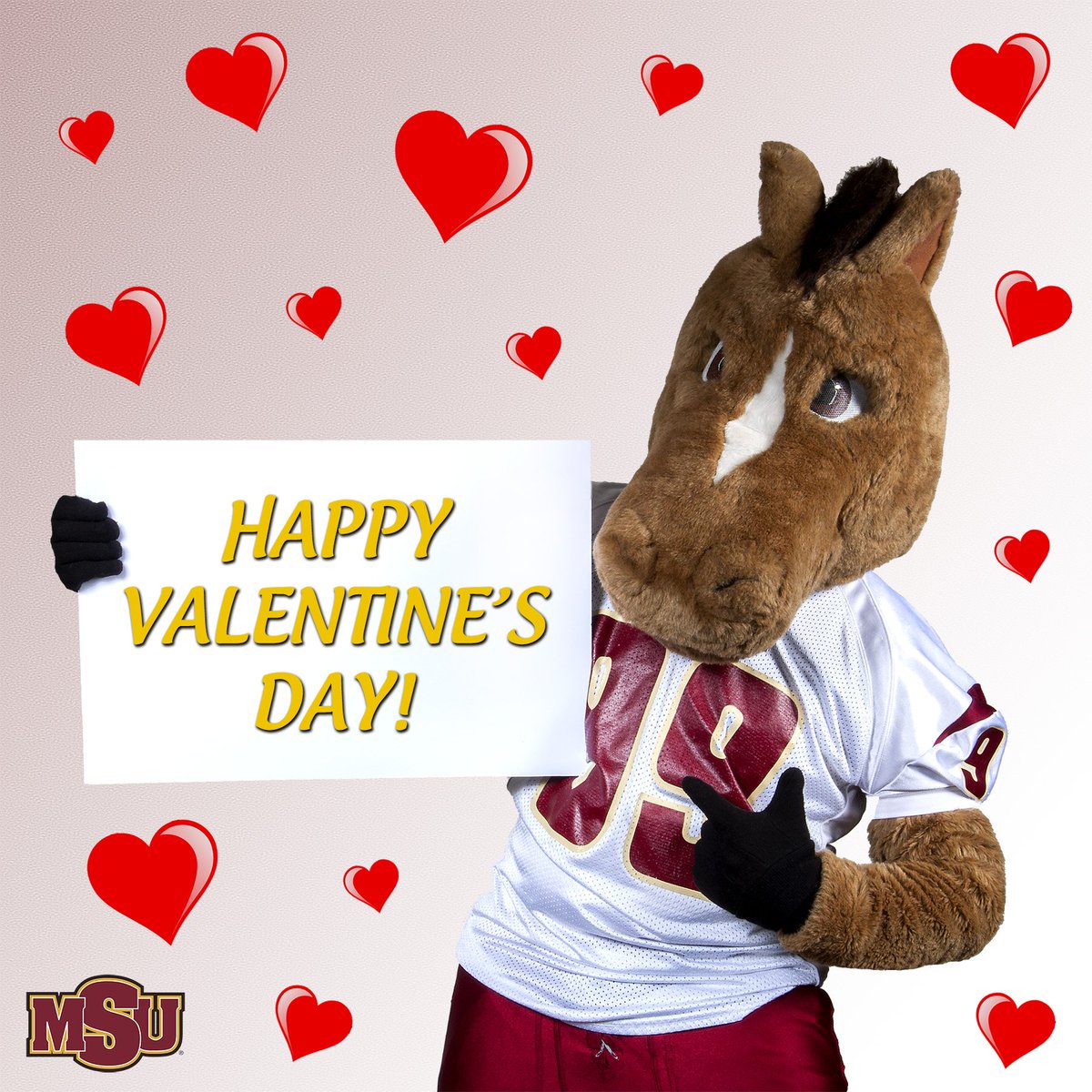 MSUTexas's tweet photo. Happy Valentine's Day from @MSUMaverick! 😍🐴😍🐴 https://t.co/ru3onkvvd6