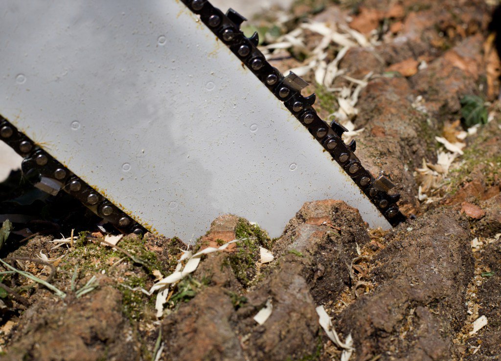 BestChainsaw Reviews on Twitter "Are Chainsaw Bars Interchangeable