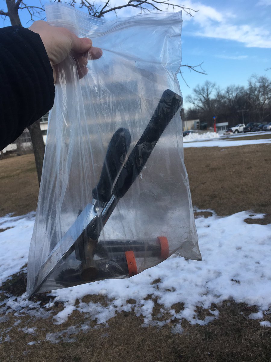 houndz_bu's tweet image. When you gotta dig through ice for soil microbes #microbiology #ccny #labclass