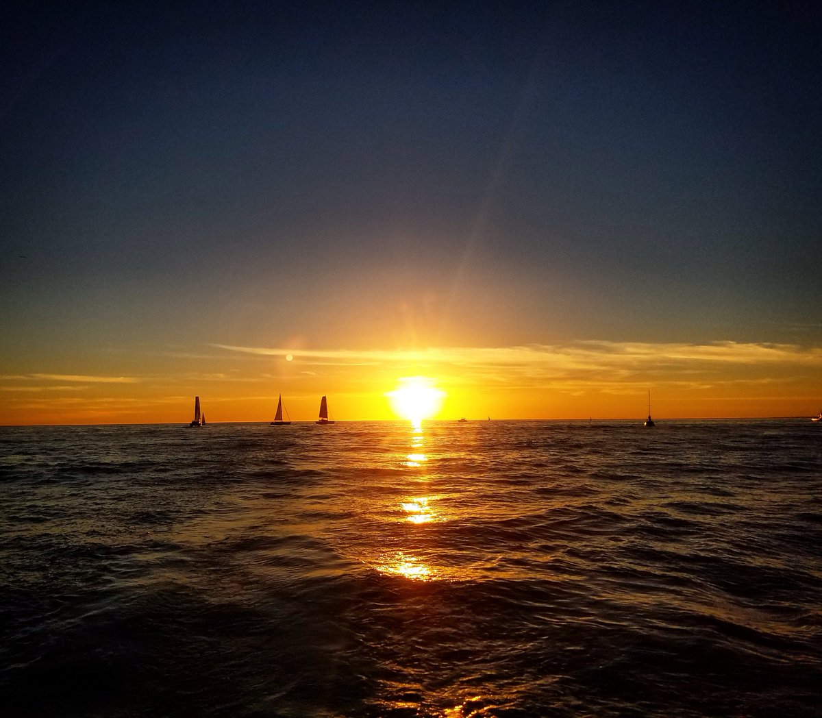 LASailing's tweet photo. Happy #Valentines from the L.A. Sailing crew! #lasailing https://t.co/VGudTB1jiS