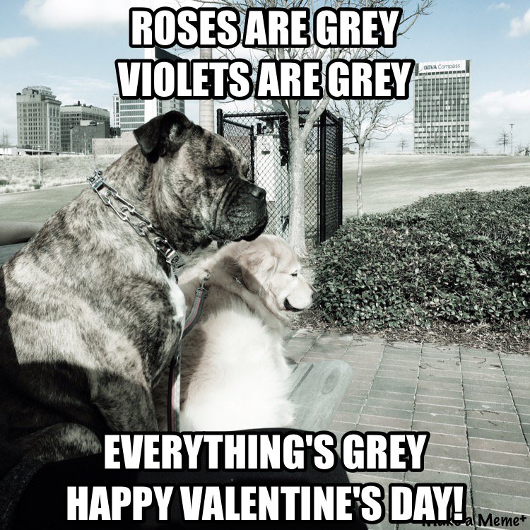 Have a greyt Valentine's Day!